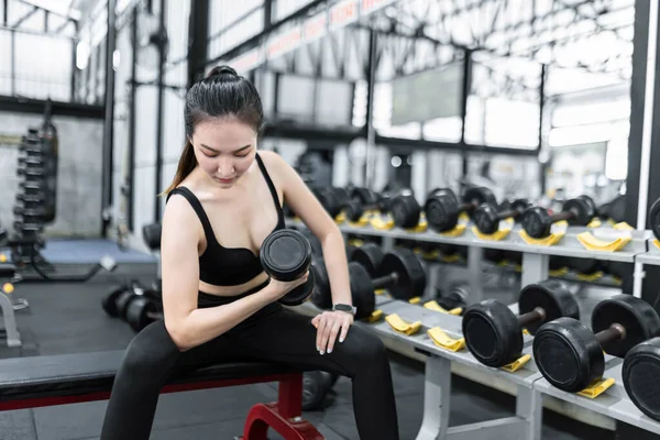 exercise concept The working out lady paying attention on carrying a dumbbell with her right hand while sitting on the bench earnestly.