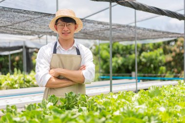 Hidrofonik sebze konsepti, hidroponik salata çiftliğinde kolları çapraz duran genç Asyalı adam..