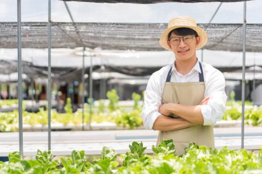 Hidrofonik sebze konsepti, hidroponik salata çiftliğinde kolları çapraz duran genç Asyalı adam..