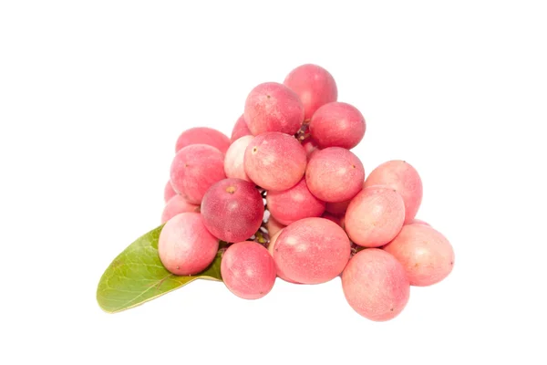 Fruto karaunda — Fotografia de Stock