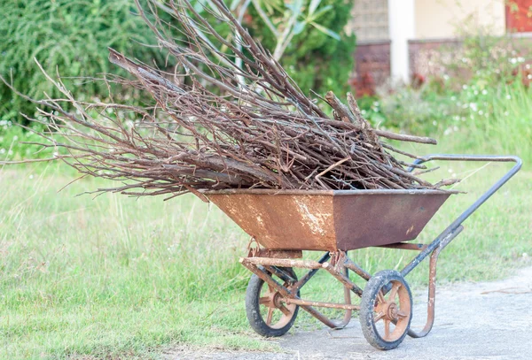 Firewood — Stock Photo, Image