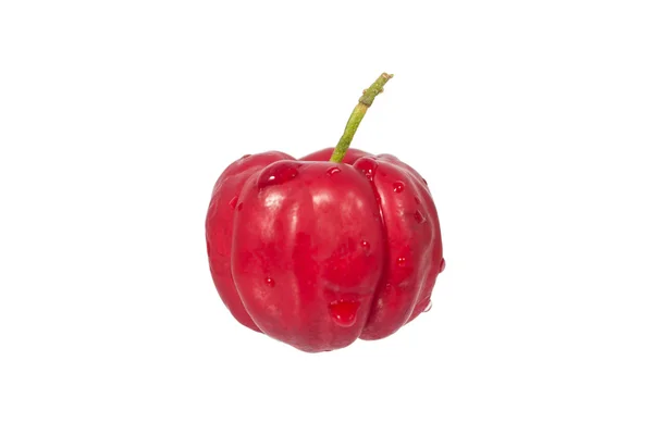 Acerola