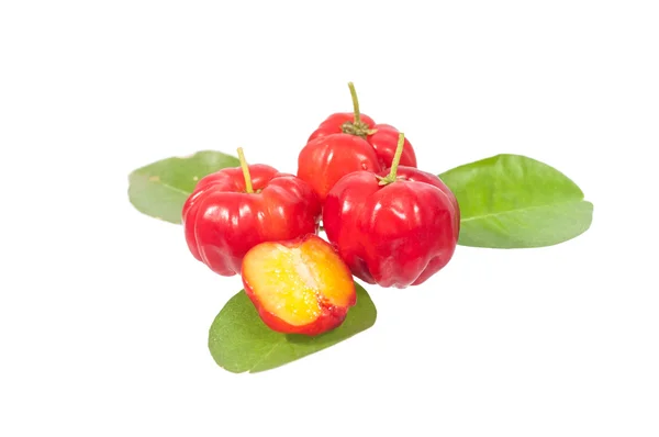 Acerola — Stok fotoğraf