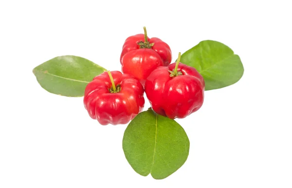 Acerola