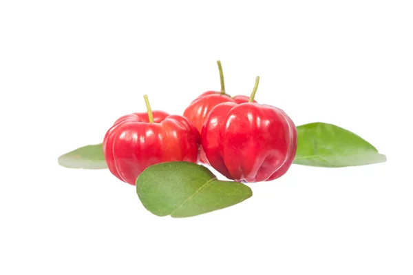 Acerola Imágenes De Stock Sin Royalties Gratis