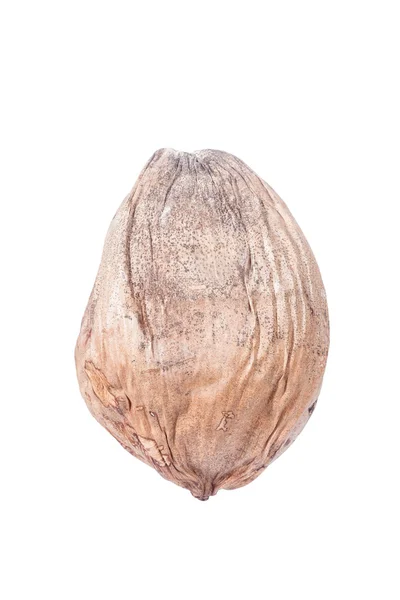 Suszony kokos — Zdjęcie stockowe