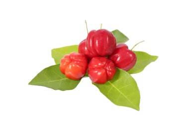 Acerola fruit clipart
