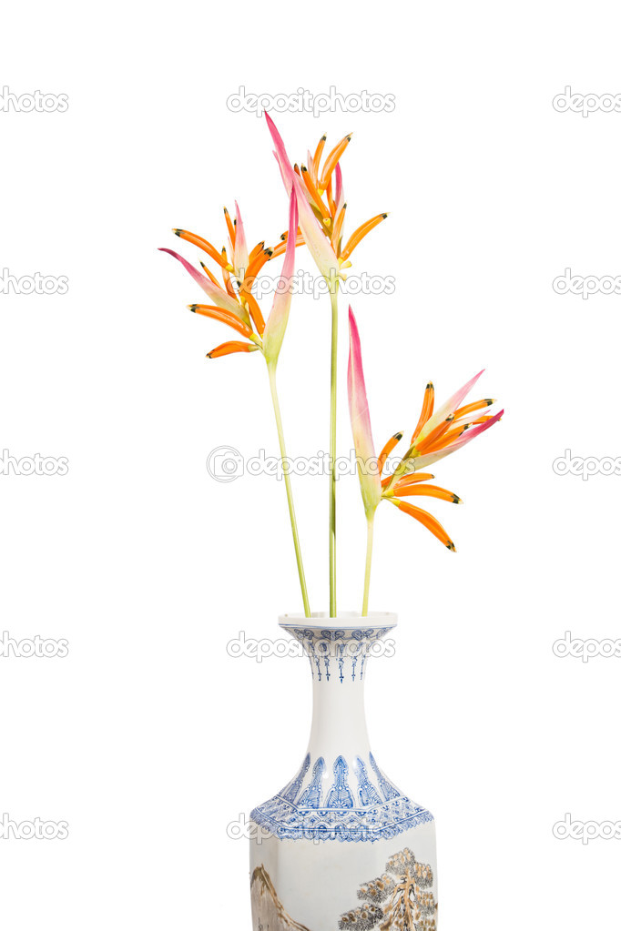 Fleur Oiseau Du Paradis Photographie Dextorth 50330403