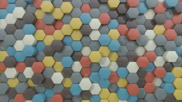 Multicolor Hexagon Background Animation Geometric Structure — Stock Video