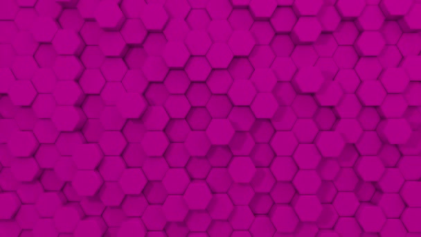 Fondo Abstracto Geométrico Púrpura Fondo Hexágono — Vídeos de Stock