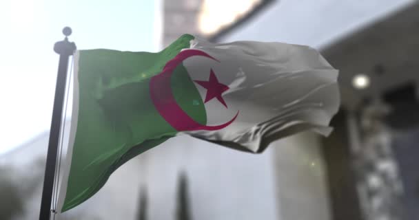 Drapeau National Algérien Algérie Pays Agitant Drapeau Illustration Politique Actualités — Video