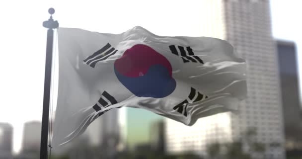 Bandeira Nacional Sul Coreana Coreia Sul País Acenando Bandeira Ilustração — Vídeo de Stock
