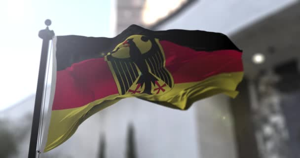 德国国旗飘扬 政府政治和国家新闻说明 — 图库视频影像