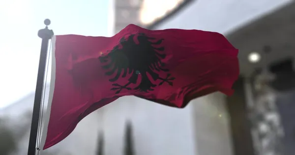 Національний Прапор Албанії Албанія Махає Прапором Політика Новини Ілюстрація — стокове фото