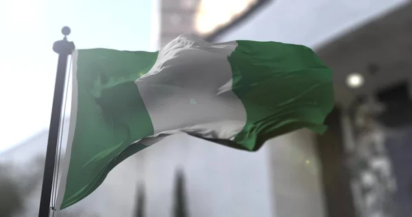 尼日利亚国旗 尼日利亚挥动国旗 政治和新闻说明 — 图库照片