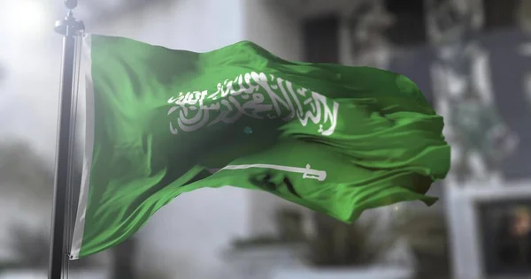 사우디 아라비아의 사우디 아라비아의 국기를 흔들고 있습니다 정치와 뉴우스 — 스톡 사진