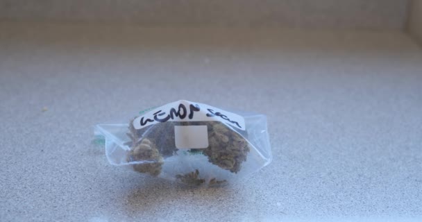 Bourgeons de cannabis sativa dans une poche ziplock. L'homme sort de la marijuana en gros plan 4k — Video