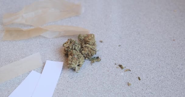 Gemme di cannabis vista dall'alto. Marijuana sul tavolo accanto alla carta per rotolare articolazioni per fumare. Commercio di droga d'erba — Video Stock