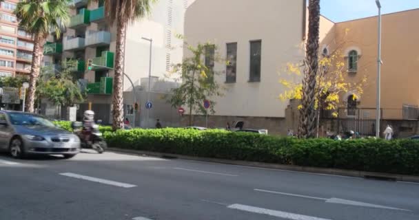 Barselona, İspanya - 2 Kasım 2021: Şehir trafiği. Arabalı yollar, arka planda palmiye ağaçları, güneşli bir gün, illüstrasyon editörü. — Stok video