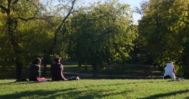 ブダペスト、ハンガリー- 22 10月2021:人々は自然の中で公園で休んでいます。芝生の上に座って話をする、イラスト編集 — ストック動画