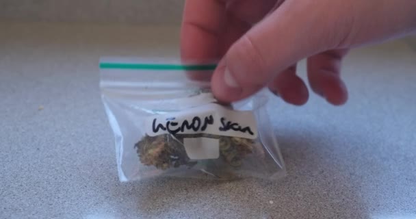 Ziplock plastic zak met marihuana toppen close-up — Stockvideo