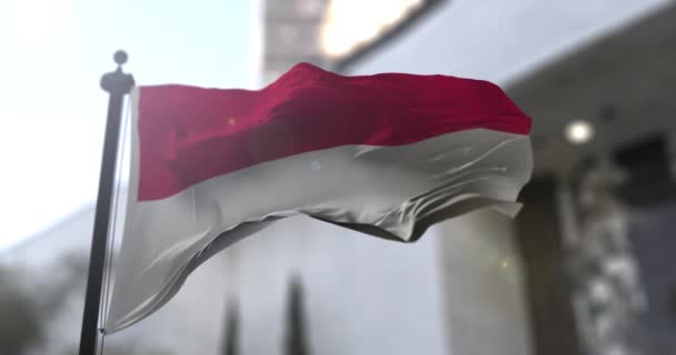 Εθνική σημαία του Μονακό. Χώρα του Μονακό κυματίζει σημαία. Πολιτική και εικονογράφηση ειδήσεων — Αρχείο Βίντεο