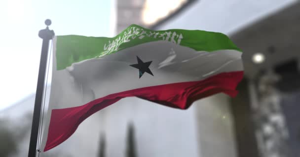Somalilands Nationella Flagga Somaliland Viftar Med Flaggan Politik Och Nyheter — Stockvideo