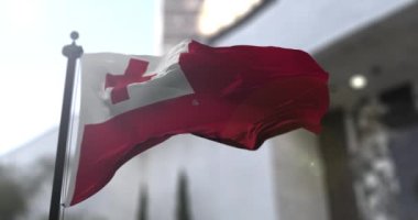 Tonga ulusal bayrağı. Tonga ülkesi bayrağı sallıyor. Politika ve haber illüstrasyonu