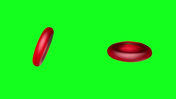 不同投影背景下绿色背景动画中的红细胞3D模型 — 图库视频影像