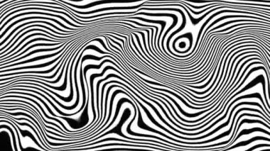 Siyah beyaz çizgili sıvı arka plan. Zebra renk arkaplan canlandırması