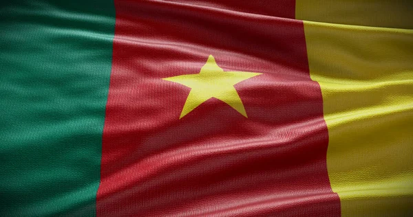 Камерунський Національний Прапор Приклад Символ Країни — стокове фото