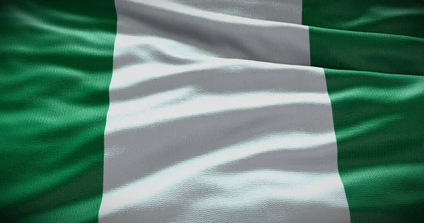 尼日利亚国旗背景说明 国家的象征 — 图库照片