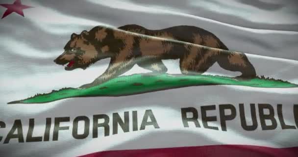 Flaga Stanu Kalifornia Macha Tłem Tło — Wideo stockowe