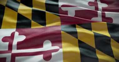 Maryland eyaleti bayrak arka plan animasyonu 4k.