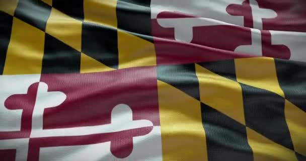 Animace Pozadí Státu Maryland Vlajky — Stock video