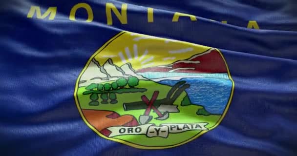 Drapeau État Montana Agitant Fond Fond — Video