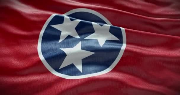 Bandera Del Estado Tennessee Ondeando Fondo Fondo — Vídeo de stock