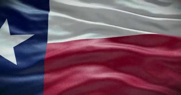 Bandera Del Estado Texas Ondeando Fondo Fondo — Vídeos de Stock