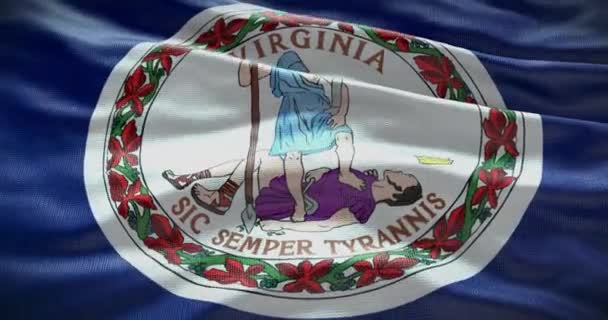 Bandera Del Estado Virginia Ondeando Fondo Fondo — Vídeos de Stock