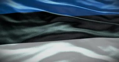 Estonya bayrağı geçmişi. Ulusal bayrak sallanıyor.