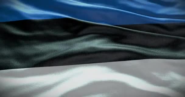 Estland Flagga Bakgrund Landets Flagga Viftar — Stockvideo