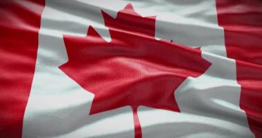 Kanada bayrak geçmişi. Ulusal bayrak sallanıyor.