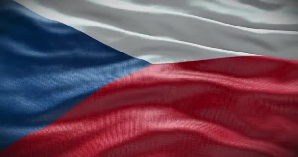 チェコやチェコの国旗の背景 国の国旗手を振って — ストック動画