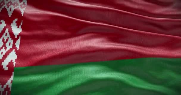 ベラルーシの国旗の背景 国の国旗手を振って — ストック動画
