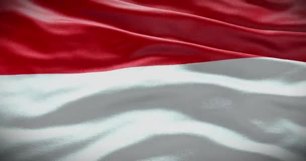Indonesien Flagge Schwenkend Hintergrund Hintergrund Animation — Stockvideo