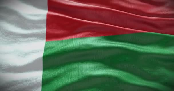 Bandeira Nacional Madagascar Acenando Fundo Animação Fundo — Vídeo de Stock