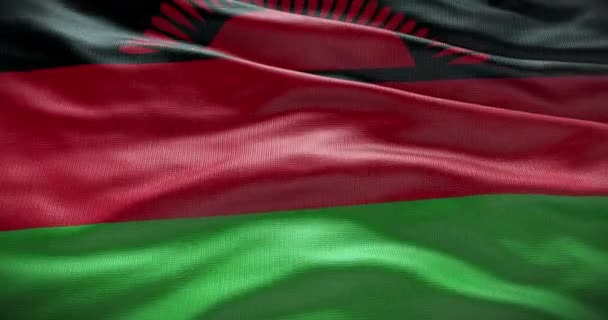 Bandeira Nacional Malawi Acenando Fundo Animação Fundo — Vídeo de Stock