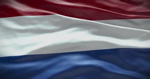 オランダ国旗が背景を振って 4Kの背景アニメーション — ストック動画