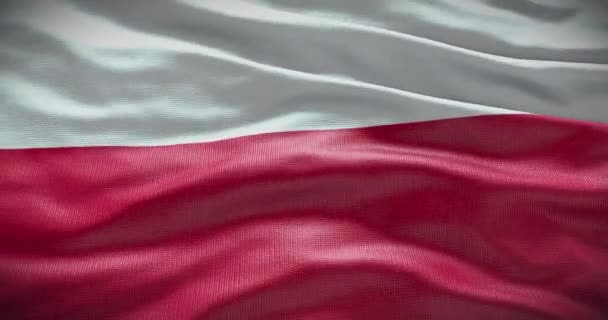 Polonia Bandera Nacional Ondeando Fondo Fondo Animación — Vídeos de Stock