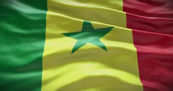 Senegal Bandera Nacional Ondeando Fondo Fondo Animación — Vídeos de Stock